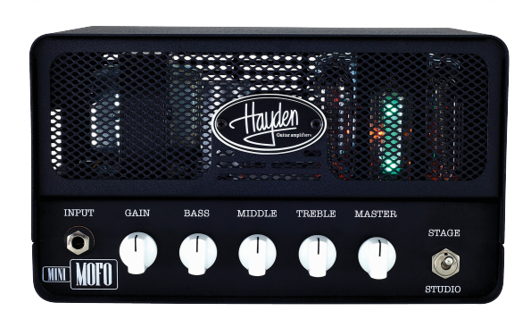 Hayden Mini Mofo 15 (demo stovis)
