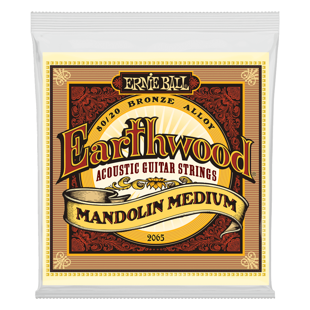 Ernie Ball 2065 Medium Earthwood 80/20 Bronze Loop End Mandolin Strings 10-36 Gauge