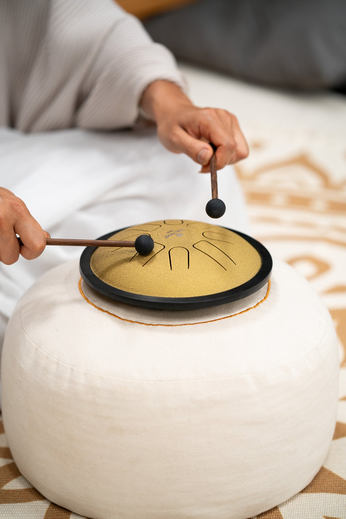 MEINL Sonic Energy SSTD3G Small Steel Tongue Drum