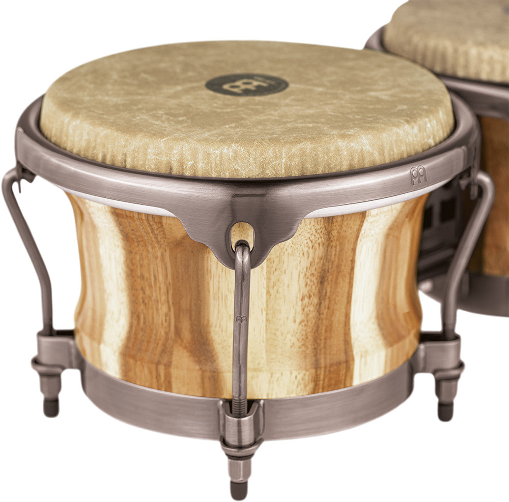 MEINL DGR400CW REMO HEADED DIEGO GALE CHAMCHURI WOOD BONGOS bongai