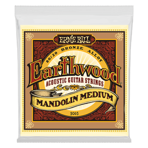 Ernie Ball 2065 Medium Earthwood 80/20 Bronze Loop End Mandolin Strings 10-36 Gauge