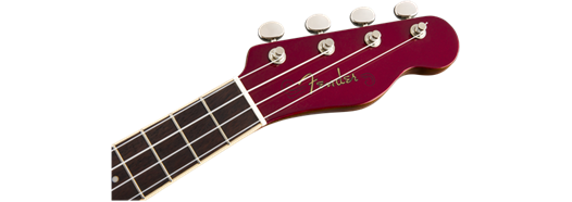 Fender Zuma concert Ukulele CAR