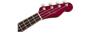 Fender Zuma concert Ukulele CAR