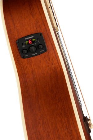 Fender Tim Armstrong Hellcat Anniversary BLK WN