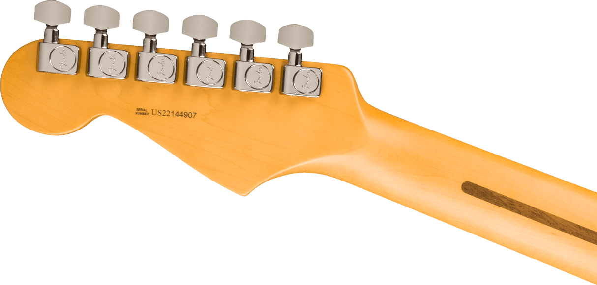 Fender Limited Edition American Professional II Stratocaster Ebony Fingerboard with Black Headstock