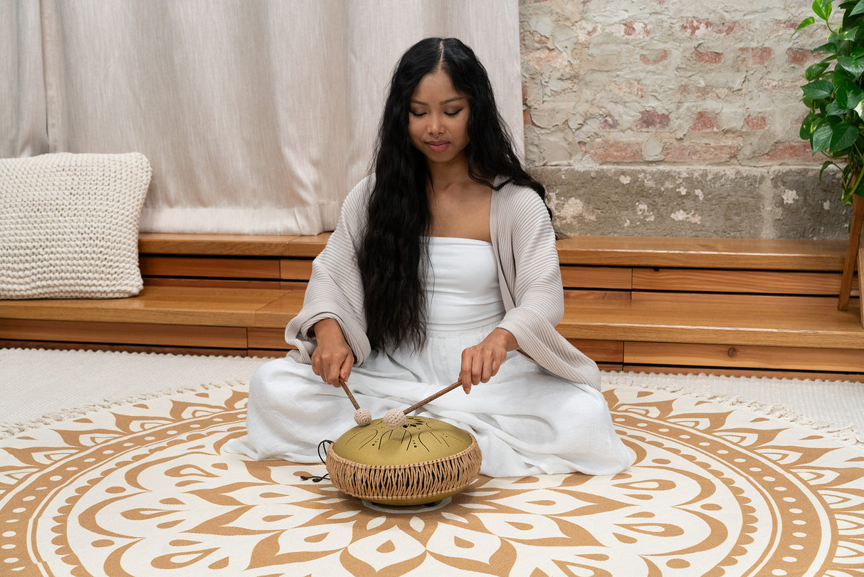 MEINL Sonic Energy MOSTD3G Meinl Sonic Energy 10  Medium Octave Steel Tongue Drum C Major