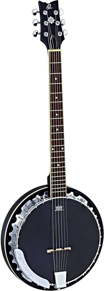 Ortega OBJE350 6 stygų banjo