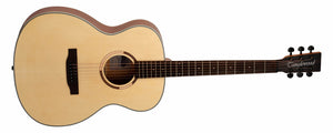 Tanglewood TS3