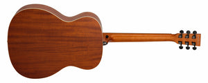 Tanglewood TS3