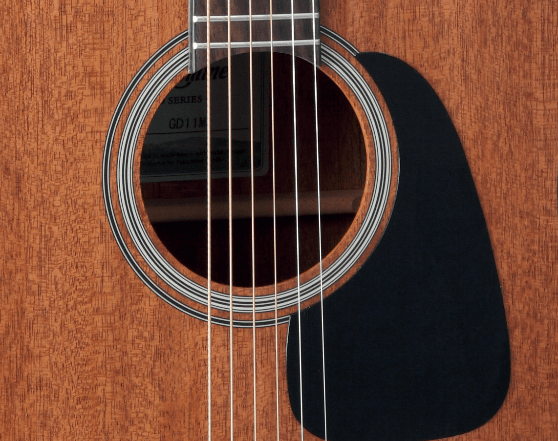 Takamine GD11M-NS