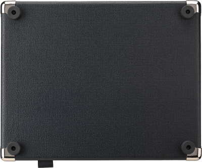 Laney Digibeth DBF100 stiprintuvas bosinei gitarai