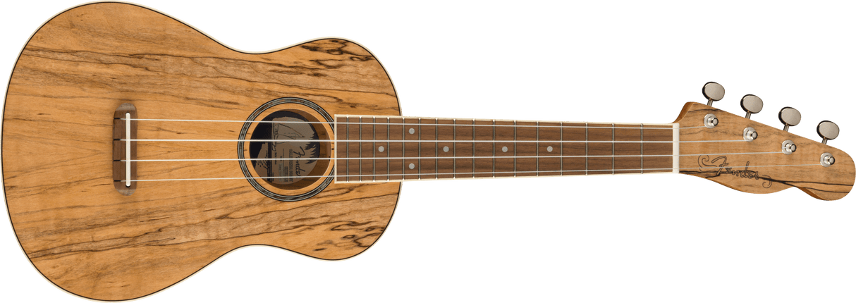 Fender Zuma Concert Ukulele Spalted WN