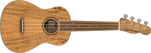 Fender Zuma Concert Ukulele Spalted WN