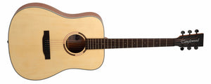 Tanglewood TS5