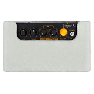 Ortega PTWO-LTD 12 WATT BLUETOOTH PREMIUM VINTAGE DESIGN POCKET ACOUSTIC AMPLIFIER W- BUILT-IN EFFEC