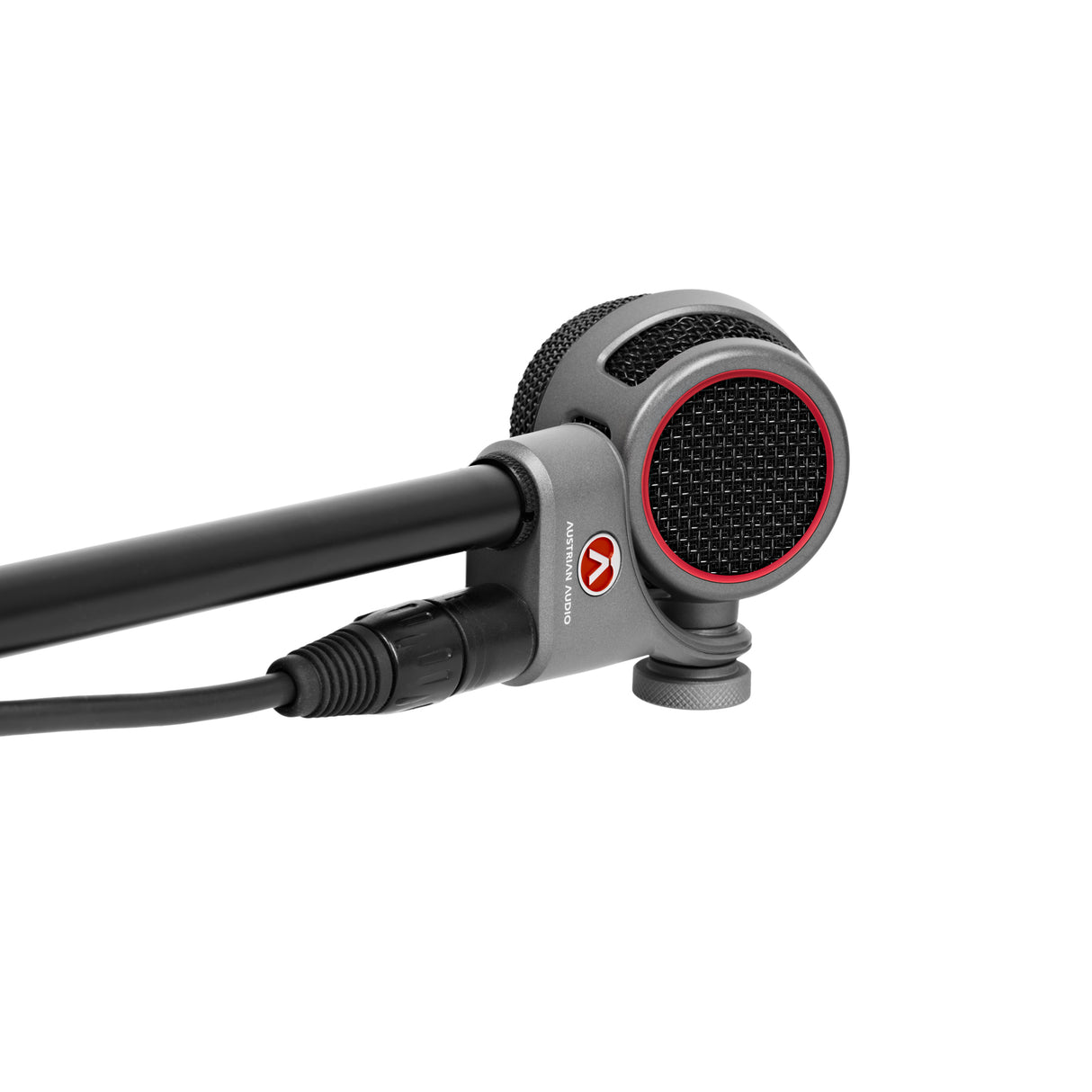 Austrian Audio OC-B6