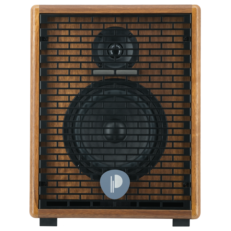Prodipe Natural 6 V2 stiprintuvas akustinei gitarai
