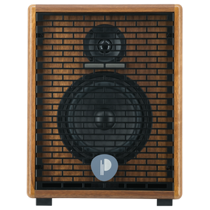 Prodipe Natural 6 V2 stiprintuvas akustinei gitarai
