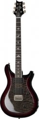 Paul Reed Smith SE Mark Holcomb SVN HB